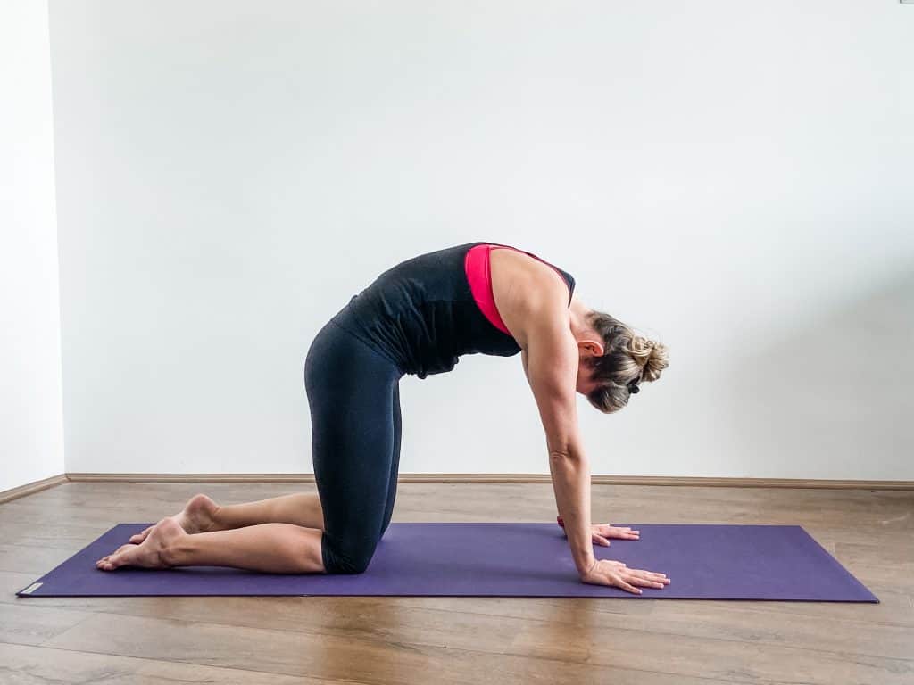 woman doing cat pose, spinal flexion in quadruped on a yoga mat. 