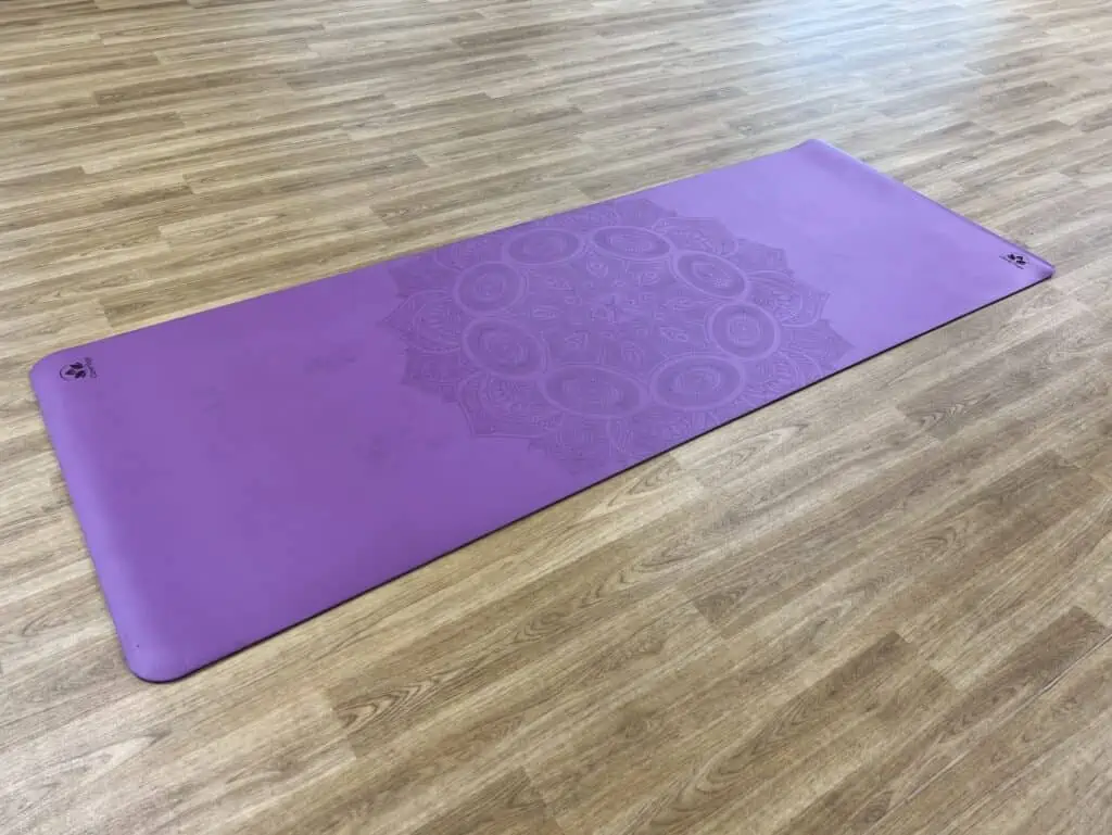 Yoga Mats are a Cheap, Easy Way to Give Old Dogs Traction on Slick Floors